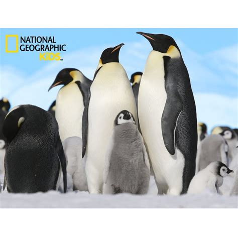 National Geographic Kids 63 Piece Super 3d Childrens Puzzle Penguins