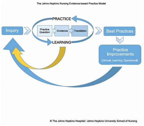 2017 Jhnebp Model Johns Hopkins Nursing Nurse Pics Evidence Based
