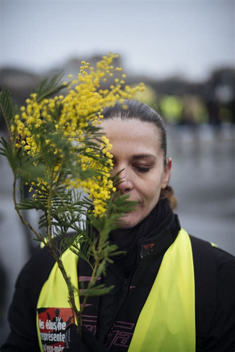 The Faces Of Frances Yellow Vest Movement New York Post
