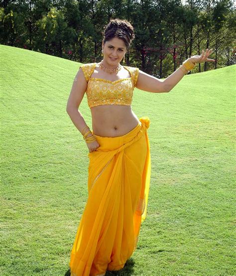 For more saree photos images visit actresssareephotos.blogspot.in/. South Indian Actress Low Hip Navel Show Photos - FILM ACTRESS HOT PHOTOS COLLECTIONS