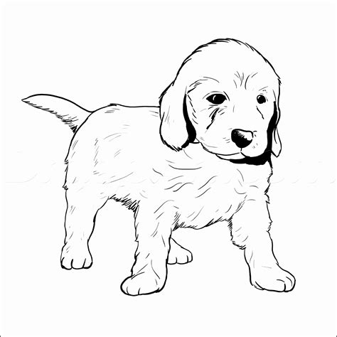 Golden Retriever Realistic Dog Coloring Pages : #drawsocutedogs learn #
