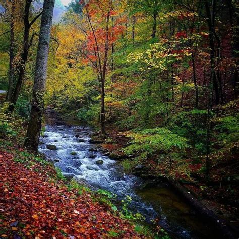 Fall In The Smoky Mountains Gsmnp Mountain Pictures Smoky Mountains
