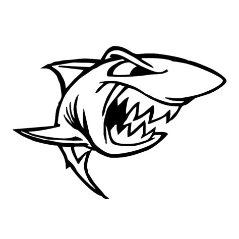 mewarnai gambar sketsa ikan hiu terbaru kataucap
