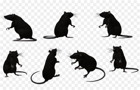 Rodent Stock Photography Silhouette Silhouette Png Download 600600