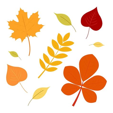 Premium Vector Set Of Autumn Leaves Illustration