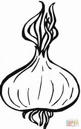 Onion Coloring Onions Drawing Printable Supercoloring Clipart Template Crafts Vegetables Apple Getdrawings Garlic Three Categories sketch template
