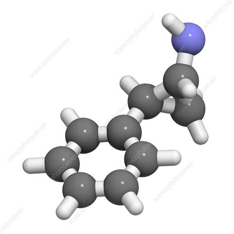 Tranylcypromine Antidepressant Drug Stock Image F011