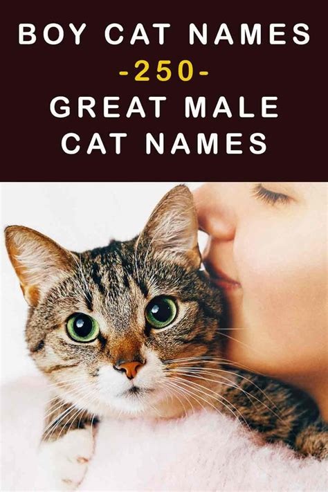 Boy Cat Names 250 Great Ideas Boy Cat Names Girl Cat Names Cat Names