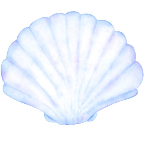 Free Cute Pearl Shell Shell Illustration Pearl Shell Cute Shell Illustration Sea Life
