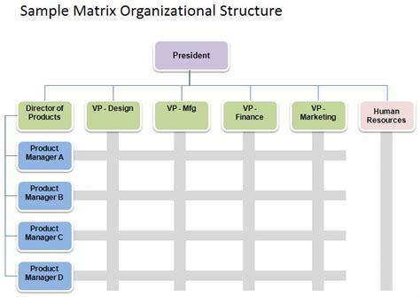 Organizational Structure Types