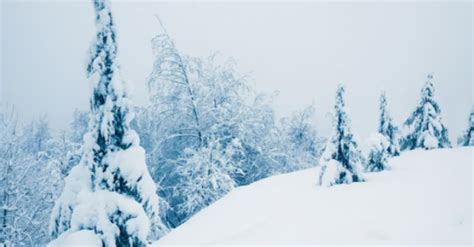 Снегопад и метель снова пришли в Иркутскую область СИА