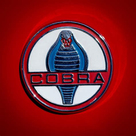 1965 Shelby Cobra Roadster 289 Emblem Photograph By Jill Reger Fine