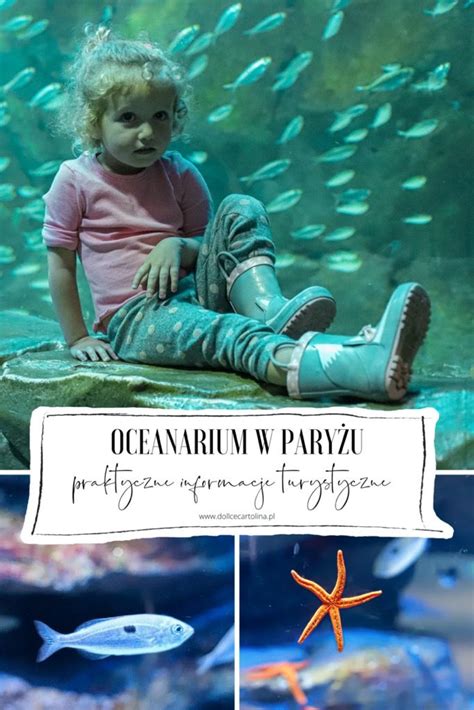 Wszystko O Zwiedzaniu Oceanarium W Pary U Praktyczne Informacje Ceny