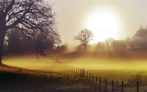 Field Morning Fog Fence Landscape Autumn Wallpaper