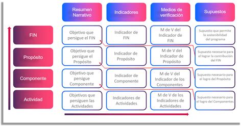 Mir Interactiva