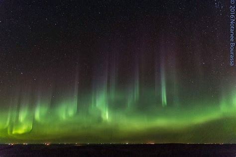 Heres How You Can Catch The Northern Lights This Week Northern