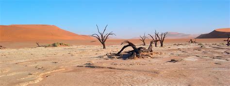 Deserts Habitats Wwf Desert Biome Desert Places Desert Ecosystem