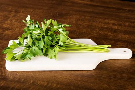 How To Cut Parsley Properly ⋆ Gardening Champion