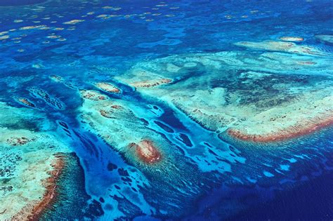 The Mesoamerican Reef Cancun Snorkeling