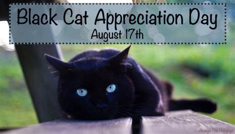 Thursday is black cat appreciation day. Black Cat Appreciation Day - Lets Celebrate and Learn ...