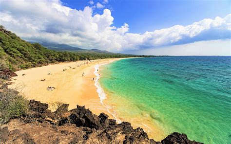Beach In Maui Hawaii 4k Ultra Hd Wallpaper Background Image