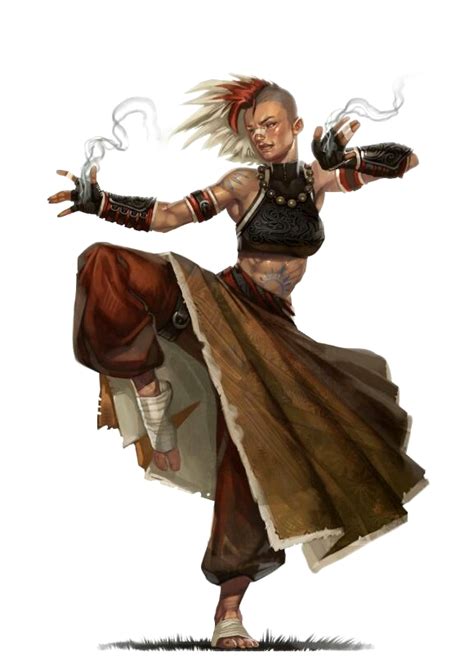 Female Human Monk Pathfinder Pfrpg Dnd Dandd D20 Fantasy Dnd Character