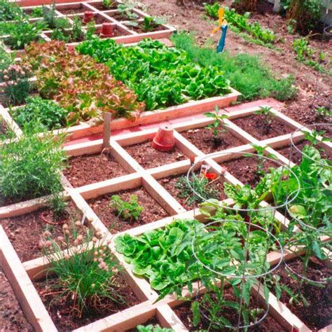 20 Creative Vegetable Gardening Ideas To Try This Year Sharonsable