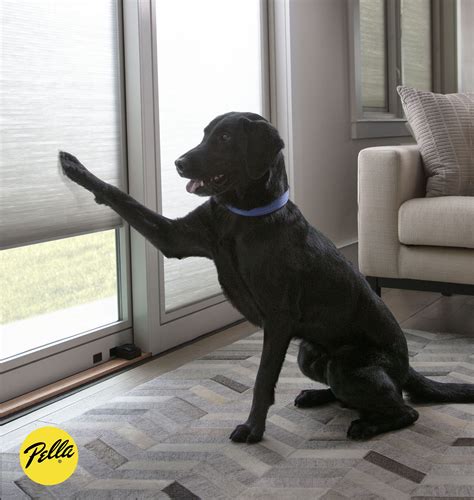 Keep blinds and shades of reach. Pella Lifestyle Series ...