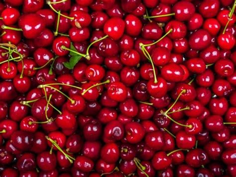 Types Of Cherries Complete Guide 2022 Northern Nester