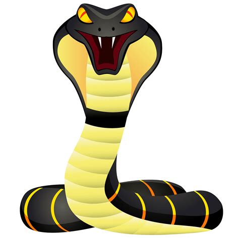 Cobra Png Transparent Image Download Size 1500x1499px