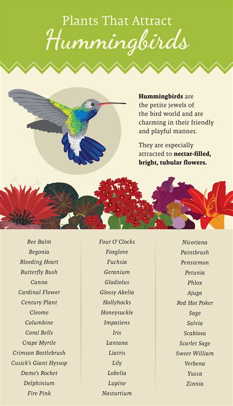 Feb 11, 2021 · flowers not on this list. Plant a Garden for Pollinators | PartSelect.com