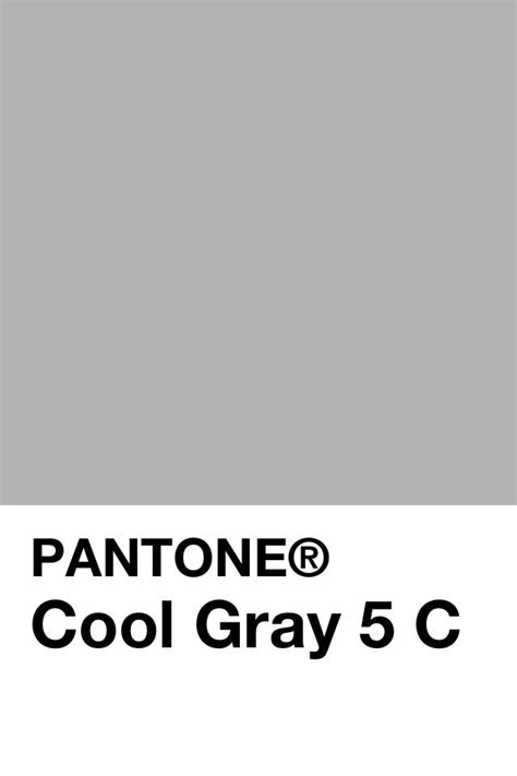 Pantone Cool Gray 5 C Rapiditas