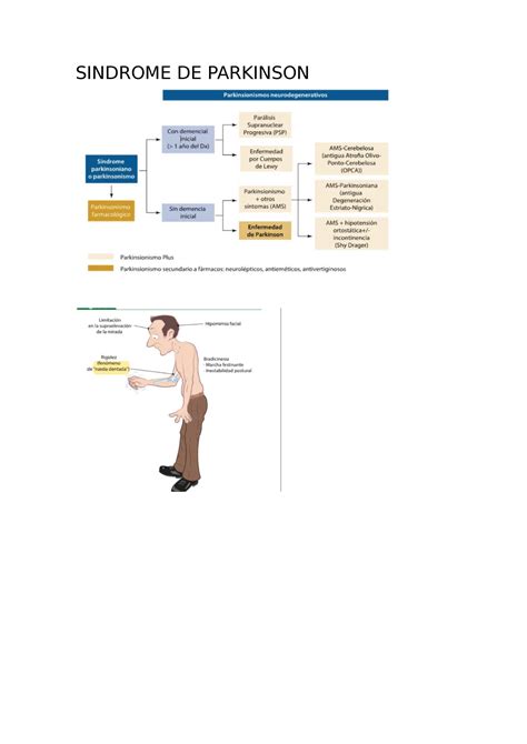 Enfermedad De Parkinson Fisiopatologia Y Diagnostico Diferencial