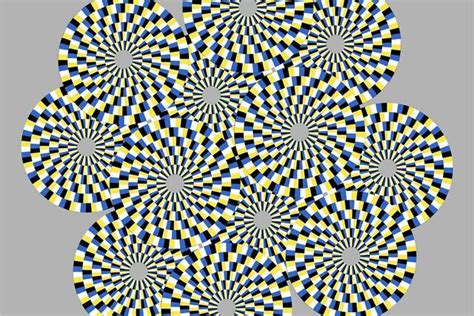 Optische Täuschungen Illusionen Und Wahrnehmungstäuschungen Graz