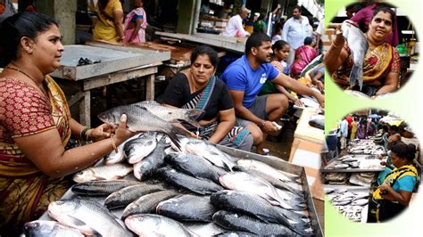 India Bigeest Live Fish Market World Famous Live Fish Market