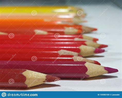 Row Of Warm Tone Colored Pencils 5 Stock Photo Image Of Oval Focus