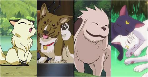 Top More Than 56 Anime Animal People Incdgdbentre