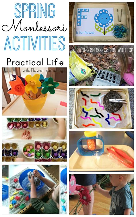 Montessori Spring Activities - Wildflower Ramblings