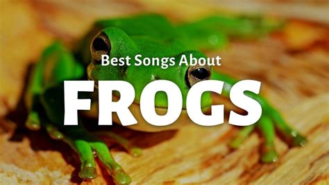 10 Best Songs About Frogs Repeat Replay