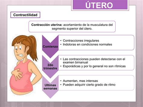 Modificaciones Gravidicas Locales Pptx