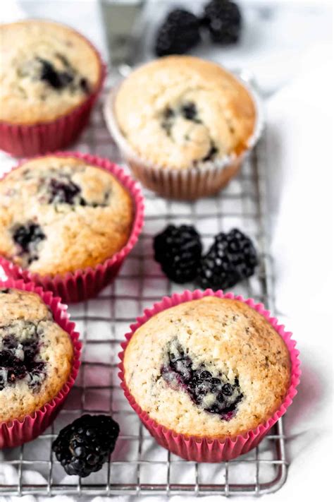 Blackberry Muffins Delicious Little Bites