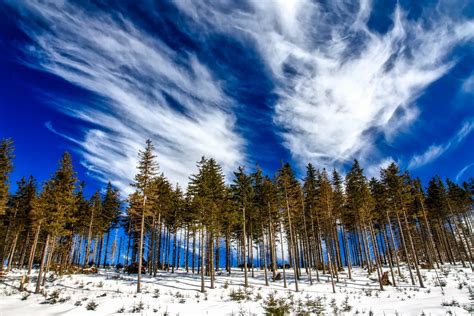 무료 이미지 경치 자연 숲 황야 눈 겨울 구름 하늘 목초지 햇빛 산맥 국가 시골의 날씨 시즌 나무