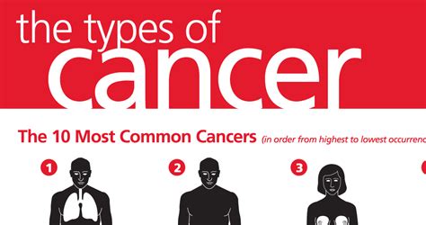 The Most Common Types Of Cancer Primary Medical Care Center Urgent