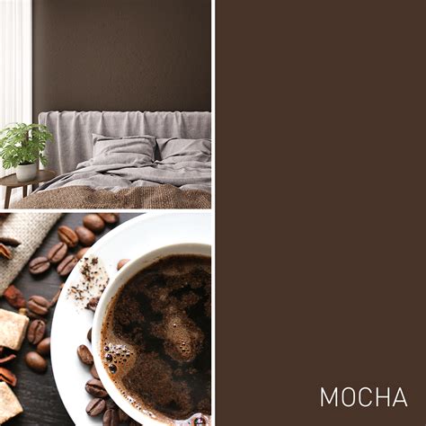 Mocha Paint Colors Brown Paint Colors Mocha Color Brown Color Kinds