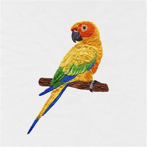 Sun Conure Conure Parrot Machine Embroidery Design Design Etsy