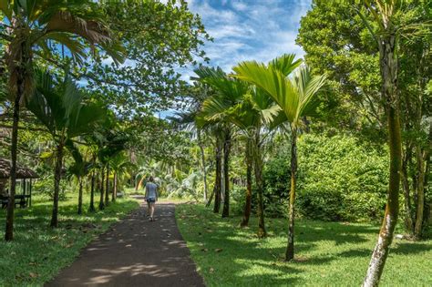 Botanischer Garten Auf Mauritius-Insel Redaktionelles Stockfoto - Bild