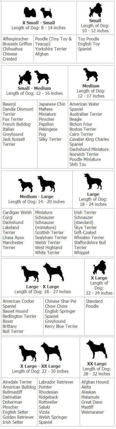 Dog Hair Length Sample Chart
