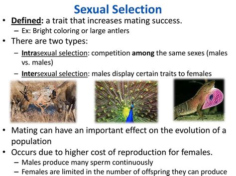 the theory of natural selection ppt download