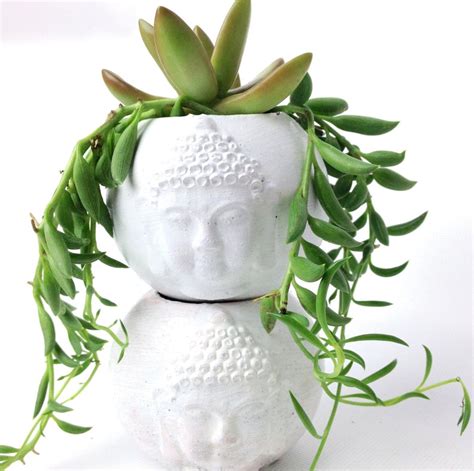 Buddha Head Planter Succulent Planter Cacti Planter Etsy