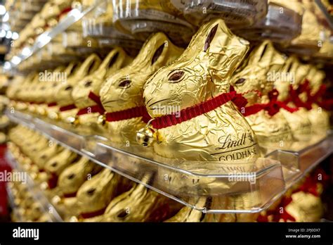 Many Chocolate Easter Bunnies Chocolate Bunnies Lindt Gold Bunnies
